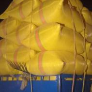 کاهیاسامان