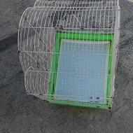 دوتا قفس درحدنو