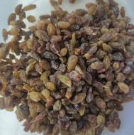 کشمش سبز ارگانیک