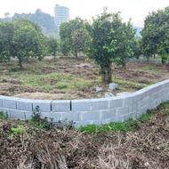 فروش زمین کاربری باغات 530 متر در جاده اربکله