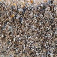 کود بلدرچین کیسه ای