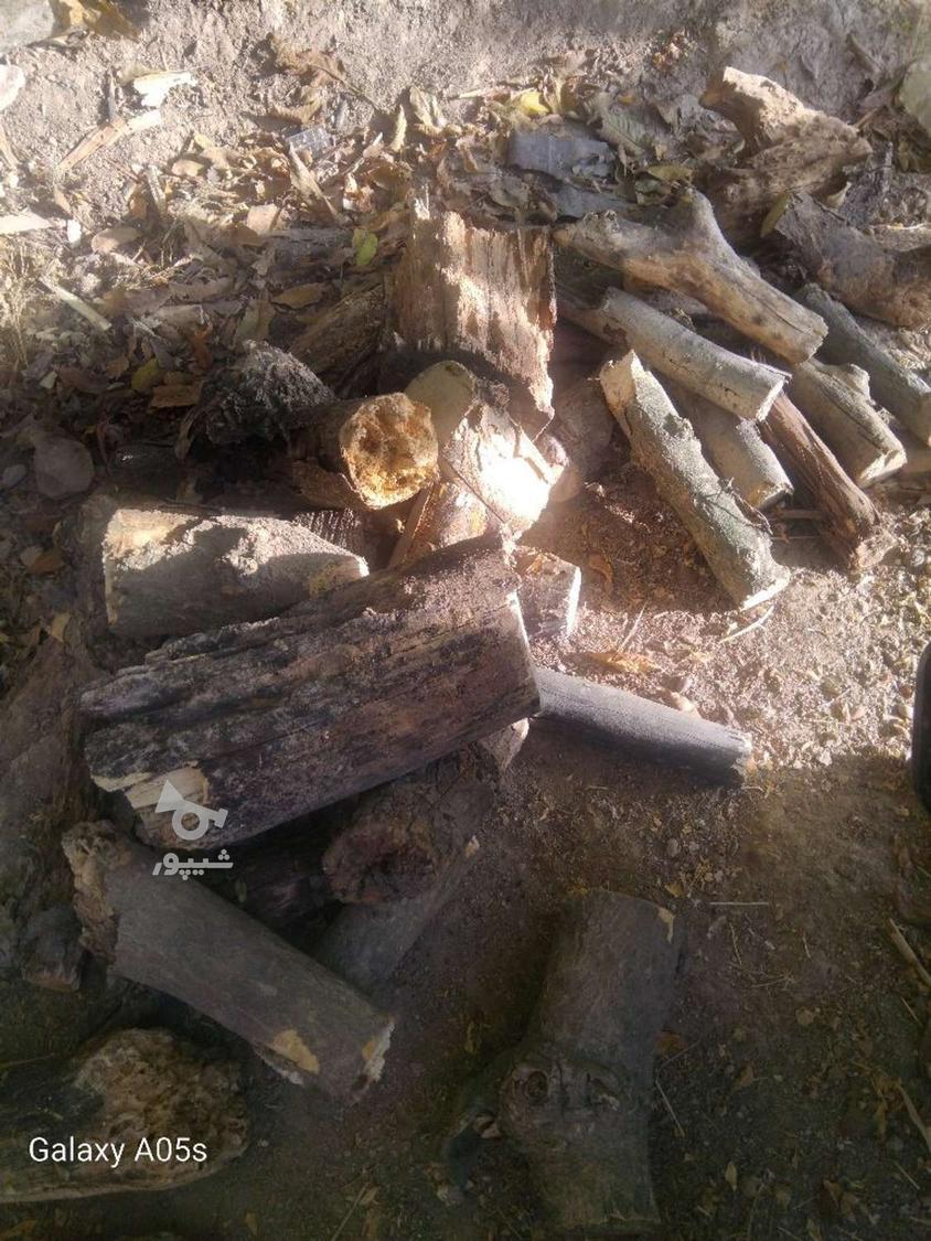 خرید چوب باغی چوب خشک تیر سقفی آتیشی