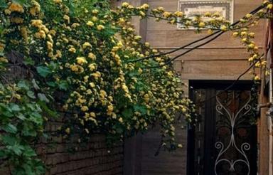 ویلایی100 متر قولنامه ای باکدرهگیری