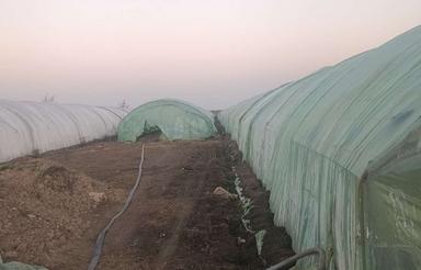 فروش 3 هزار و 200 متر زمین کشاورزی و گلخانه خیار