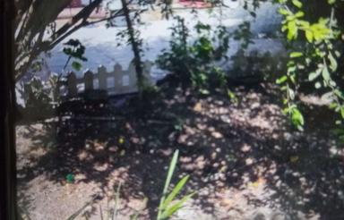 470مترکل حیاط،دو واحد یک ودوخوابه،