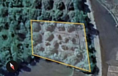 360منر زمین رامسر