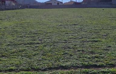 فروش زمین باغی 1712 متر