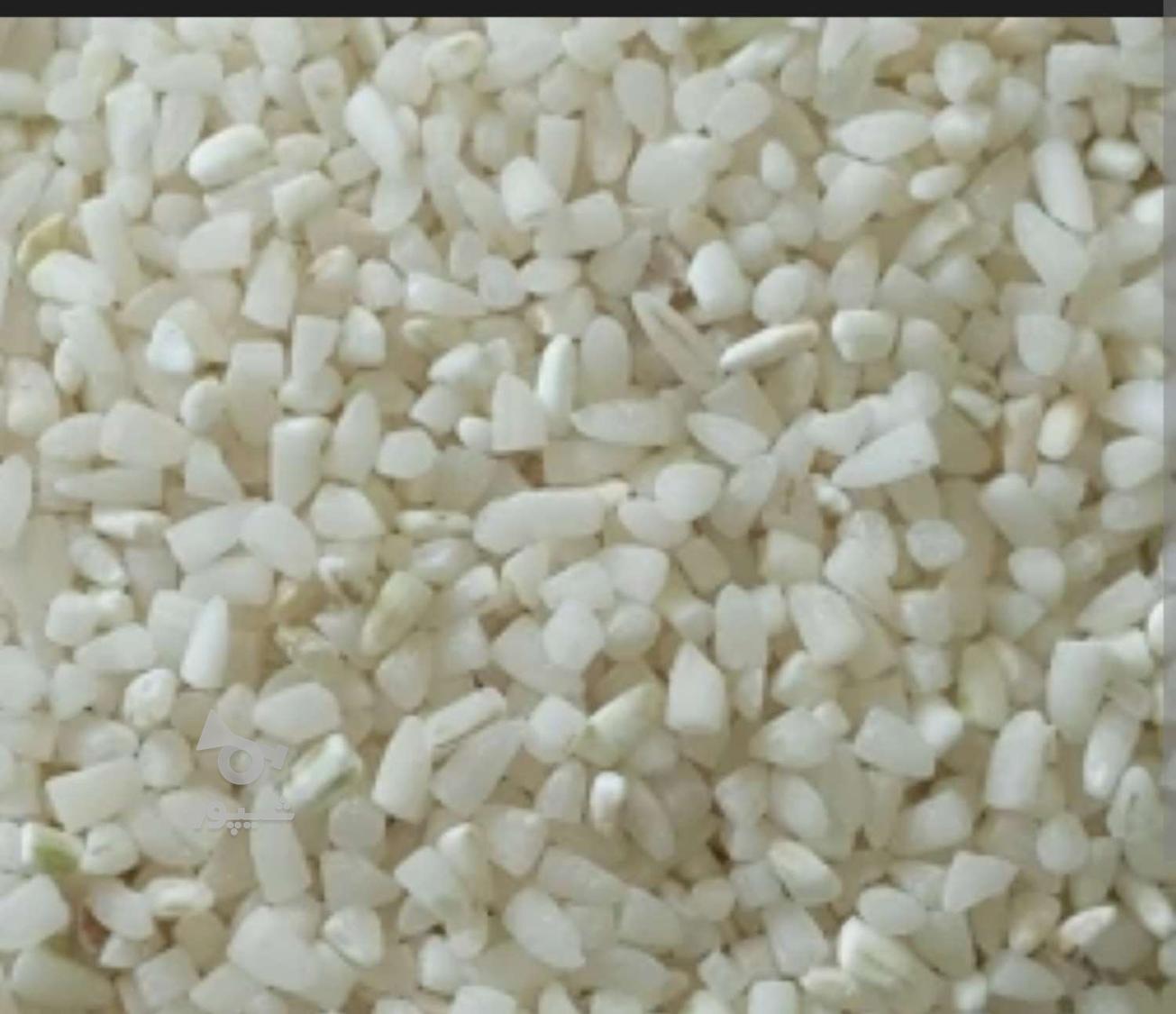 برنج و نیم دانه طارم هاشمی آمل امساله