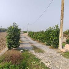 فروش باغ 2000 متر در جاده دریا ساری موقعیت عالی 