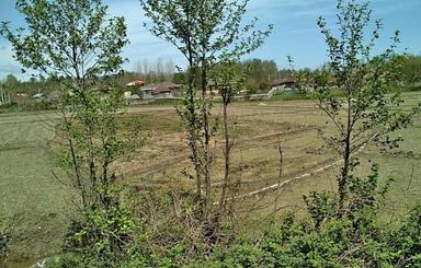 دوهزارمتر زمین