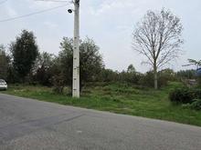 فروش زمین مسکونی 180 متری بینظیر شعیب کلایه در شیپور