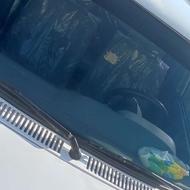 132 مدل 98 دوتا گلگیر رنگ