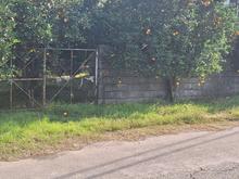 فروش زمین مسکونی 404 متر در نصیرآباد در شیپور