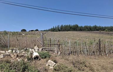 فروش زمین که در سند زراعی باغی نوشته شده با ویوی فوقالعاده