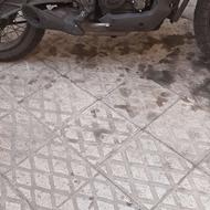 زونتس بوکان زرد مشکی