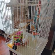 قفس فلزی مخصوص پرنده های زینتی