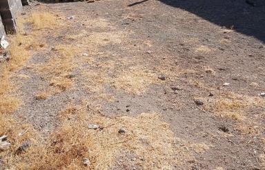 زمین مسکونی خیراباد سلطانیه