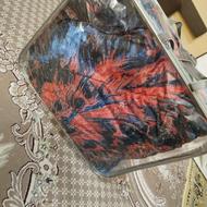 لاحف و پتو رو تختی