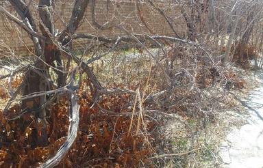 300 متر زمین طرح هادی