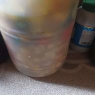 ترشی هفت بیجار کلیوی 100