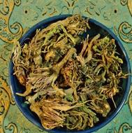 ریشه قاصدک درجه یک