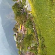 فروش فوری 185 متر زمین بافت مسکونی شماره تماس 09012292347