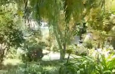 باغ ویلا کردان کوهسار