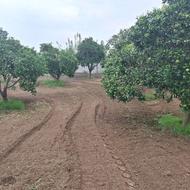 فروش زمین مسکونی 820 متر