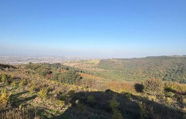 فروش زمین باغی2/5 هکتاری در شهیدآباد بهشهر