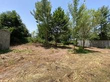 زمین 242 متری ؛ کنار دانشگاه اندیشمند در شیپور