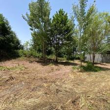 زمین 242 متری ؛ کنار دانشگاه اندیشمند