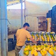 اجاره دستگاه نایلون پیچ و آبدرمانی