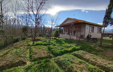 ویو کوه و شالیزار