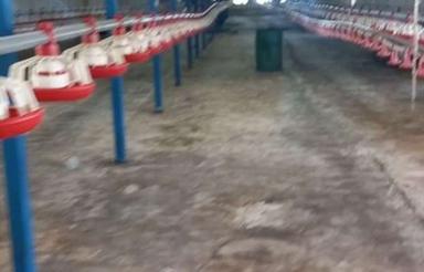 مرغداری گوشتی 22هزارتایی فقدفروش