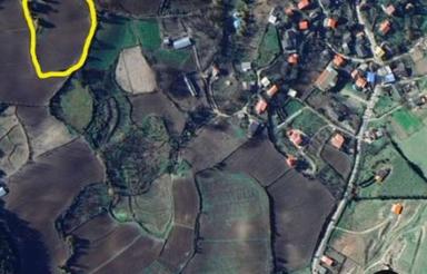 6000 متر زمین با ویو جنگلی