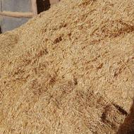 فروش کاه دیم کردستان دیواندره