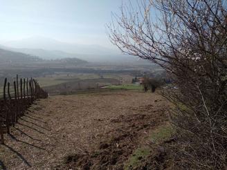 2200متر واقع در پارتکلا دودانگه