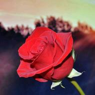 کیف مدارک گمشده