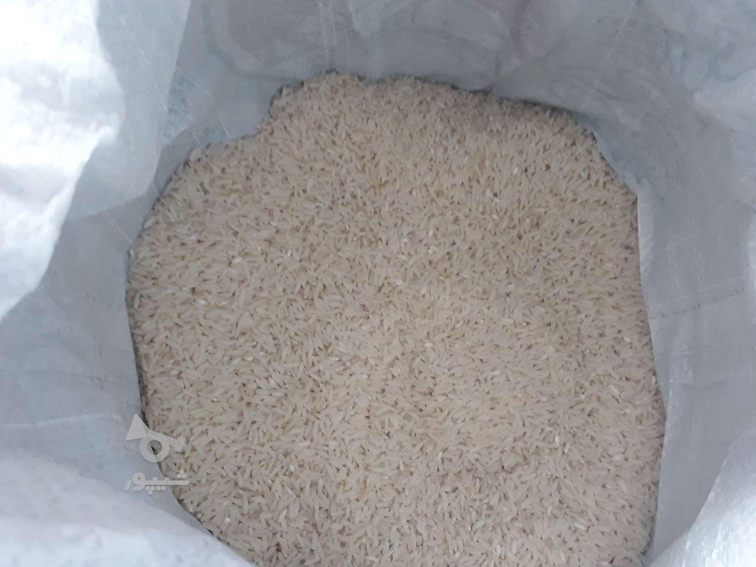 برنج طارم هاشمی