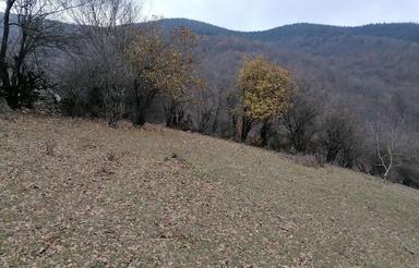 زمین ییلاقی