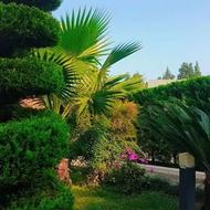 گلکاری ؛ هرس ؛ آبیاری قطره ای و ...