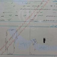 8200 متر زمین و ویلا ماسال