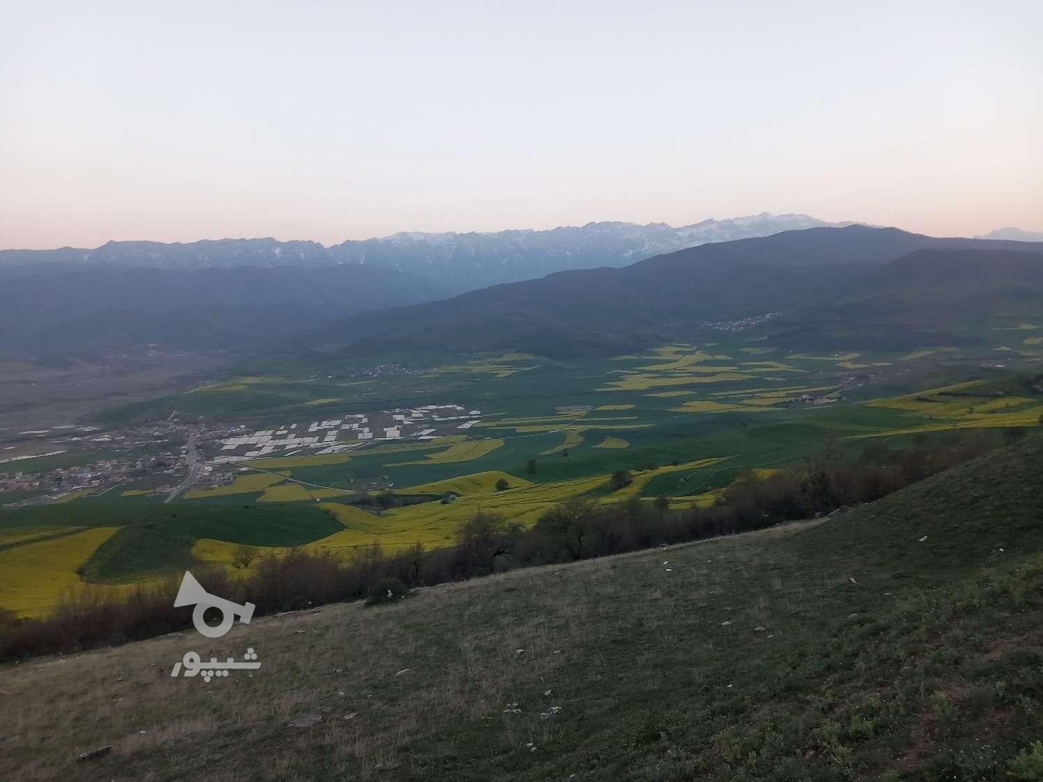 کارگر ساده .کاردر سالن - undefined