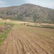 زمین کشاورزی