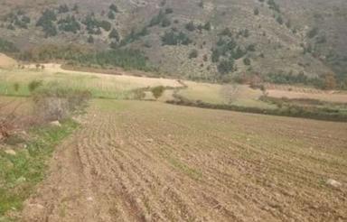 زمین کشاورزی