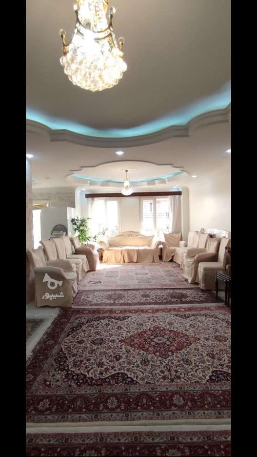 رهن و اجاره 143متری لاله غربی بنفشه 11