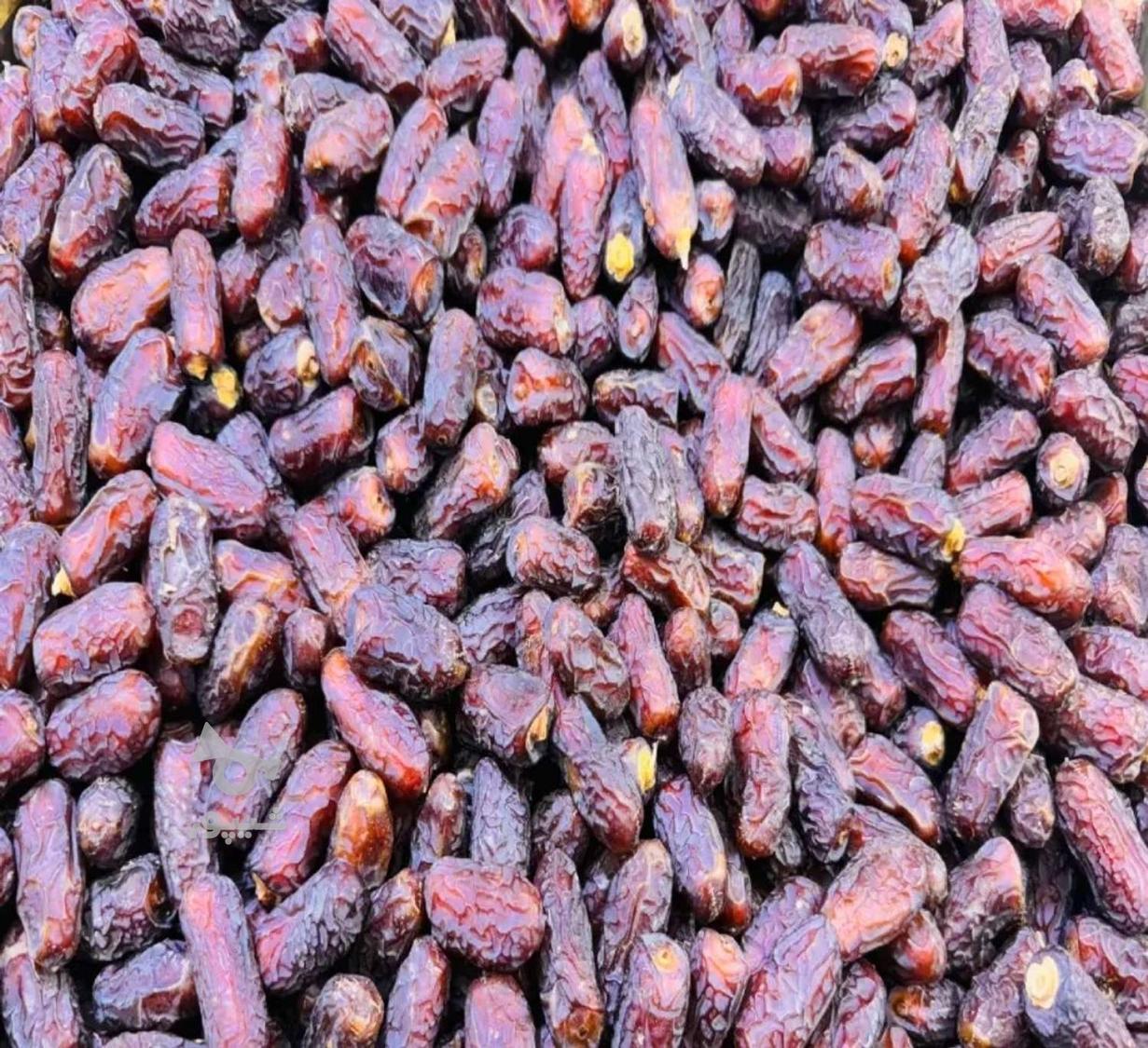 خرمای درجه یک پیاروم