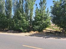 فروش باغ انگور ومیوه بحر جاده آسفالت درباغات خلج در شیپور