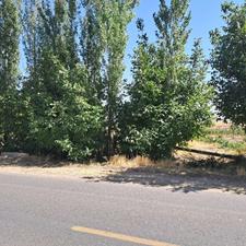 فروش باغ انگور ومیوه بحر جاده آسفالت درباغات خلج