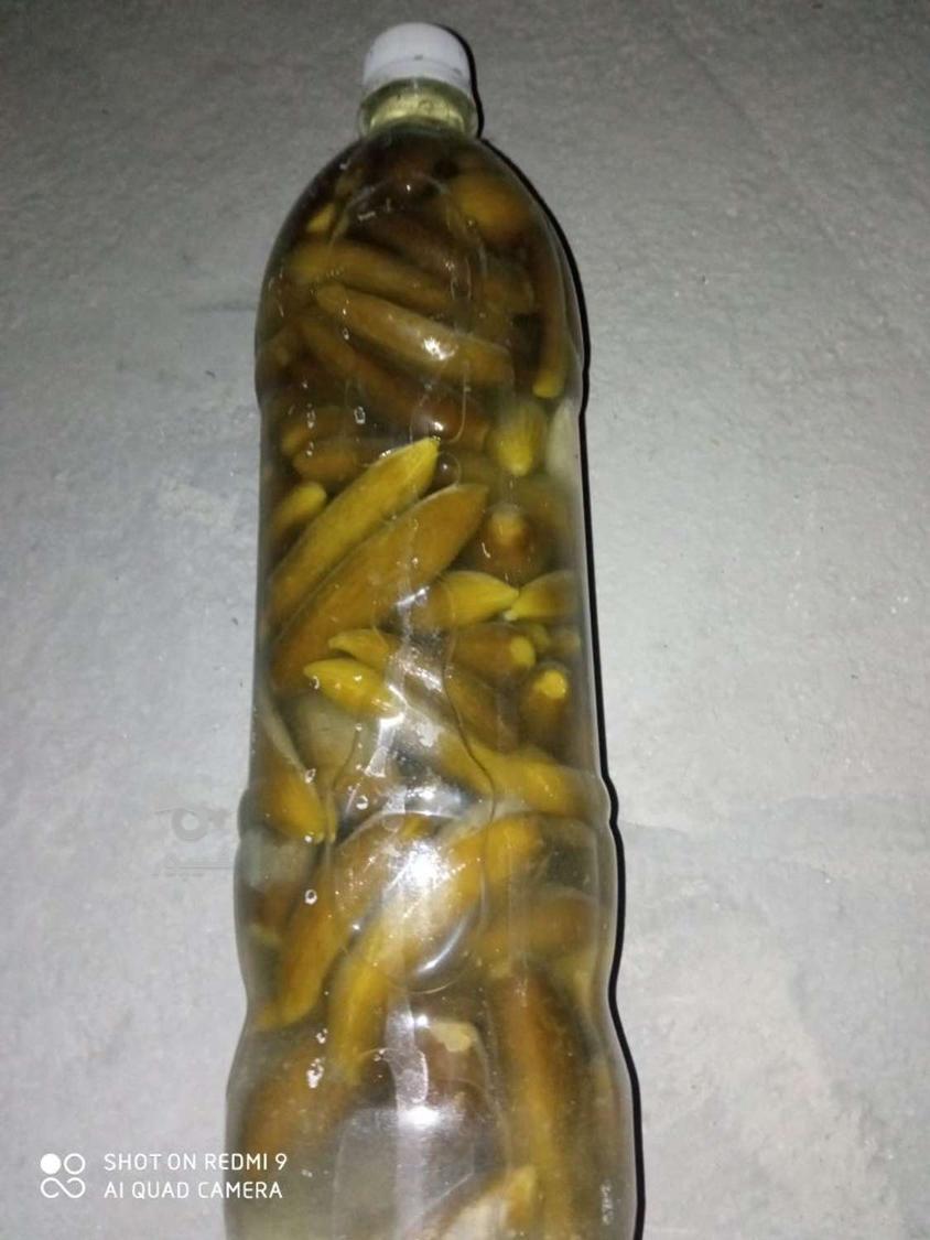 خیارشور اعلی بندانگشتی